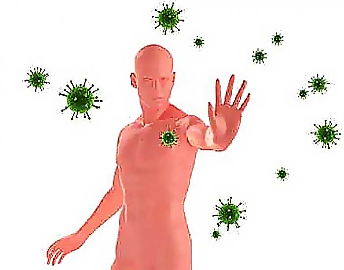 исследование организма на нарушение иммунитета